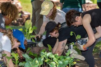 Students Volunteer At the Seminole Organic Garden