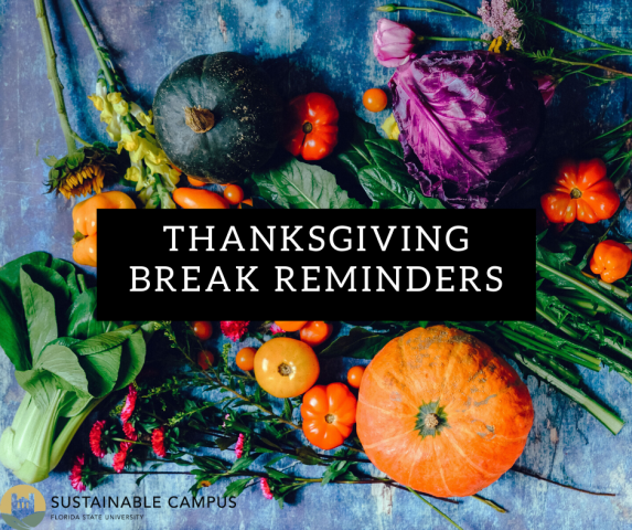 Thanksgiving Break Reminders