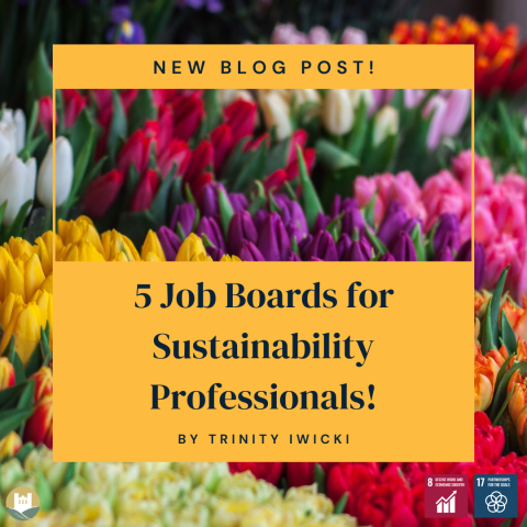 Image of flowers with overlay of blog title