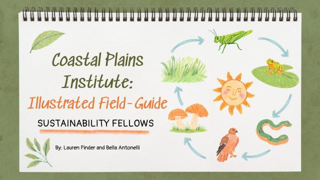 Presentation Title Slide: Coastal Plains Institute Ephemeral Ponds Field Guide Illustrations