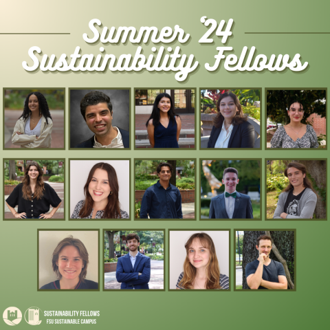 Summer 2024 Sustainability Fellows Cohort Headshots