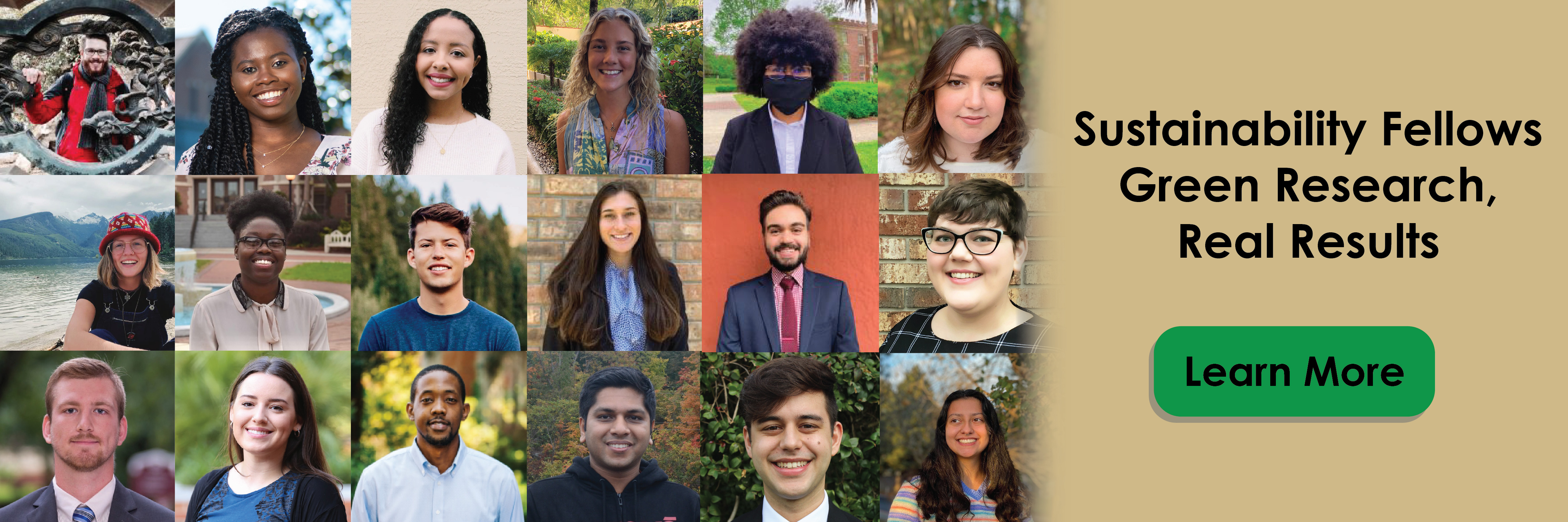 Sustainability Fellows 