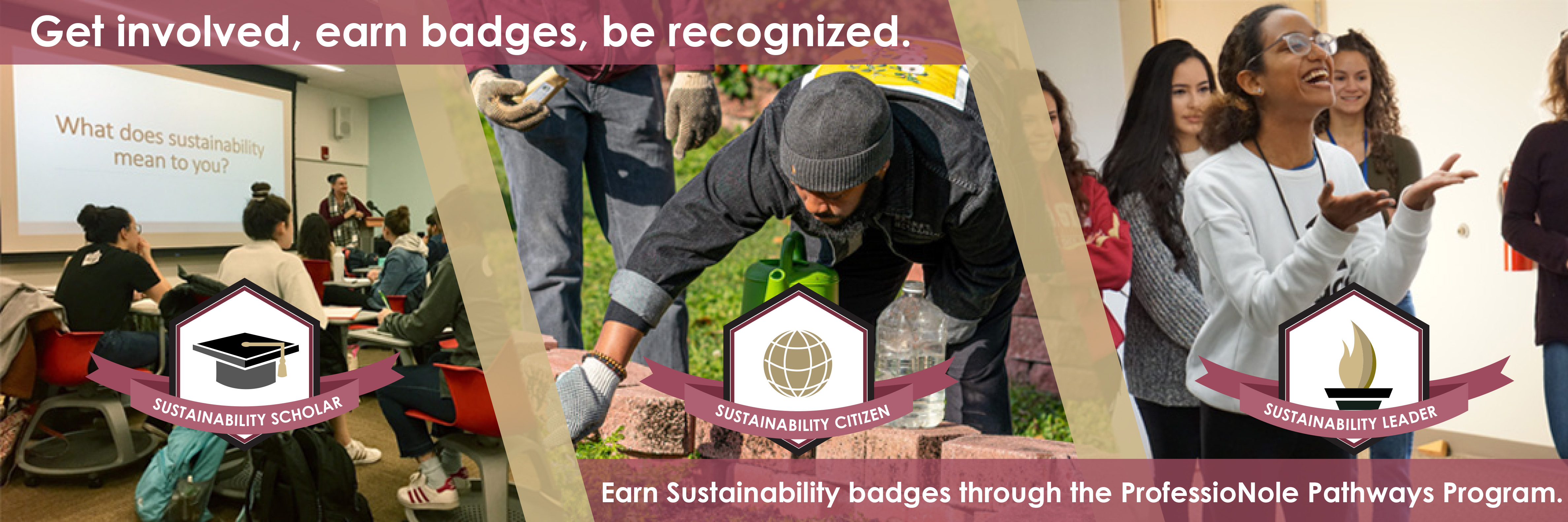 Pathways and badging opportunities