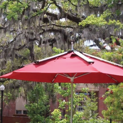 FSU Solar Umbrellas