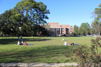 Landis green