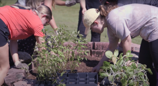 Students planting in garden