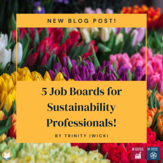 Image of flowers with overlay of blog title