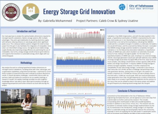 Gabriella Mohammed Poster