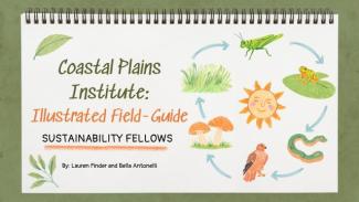 Presentation Title Slide: Coastal Plains Institute Ephemeral Ponds Field Guide Illustrations