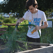 Person Watering Plants in Garden