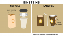 Einsteins