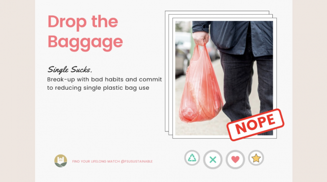 Breaking-Plastic-Bag-Habit