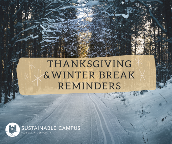 Snowy road with text overlay that reads "Thanksgiving and Winter Break reminders"