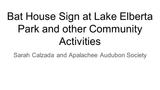 Bat House Sign at Lake Elberta Park Slide