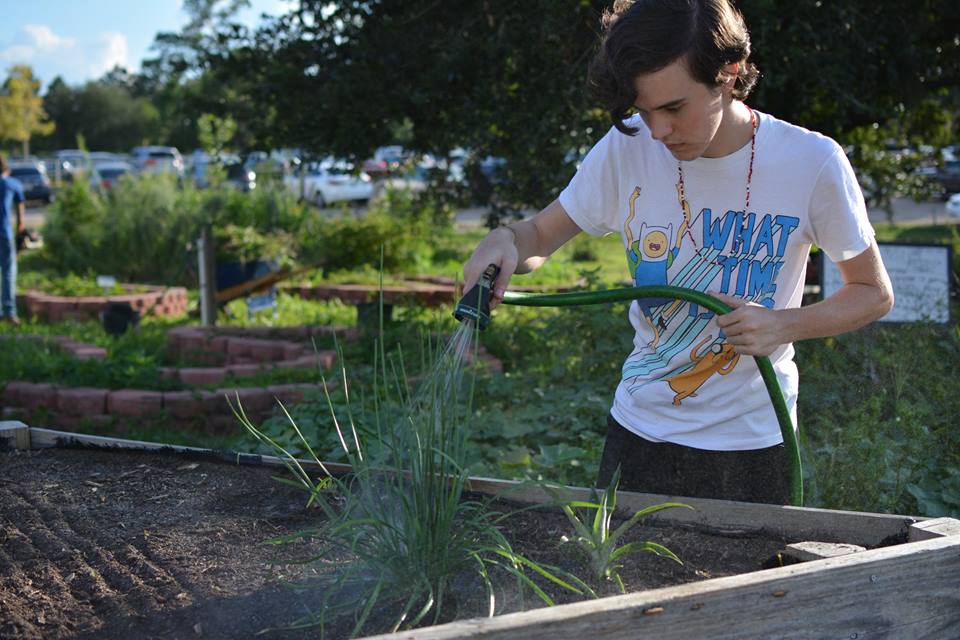 Water Garden Beds.jpg