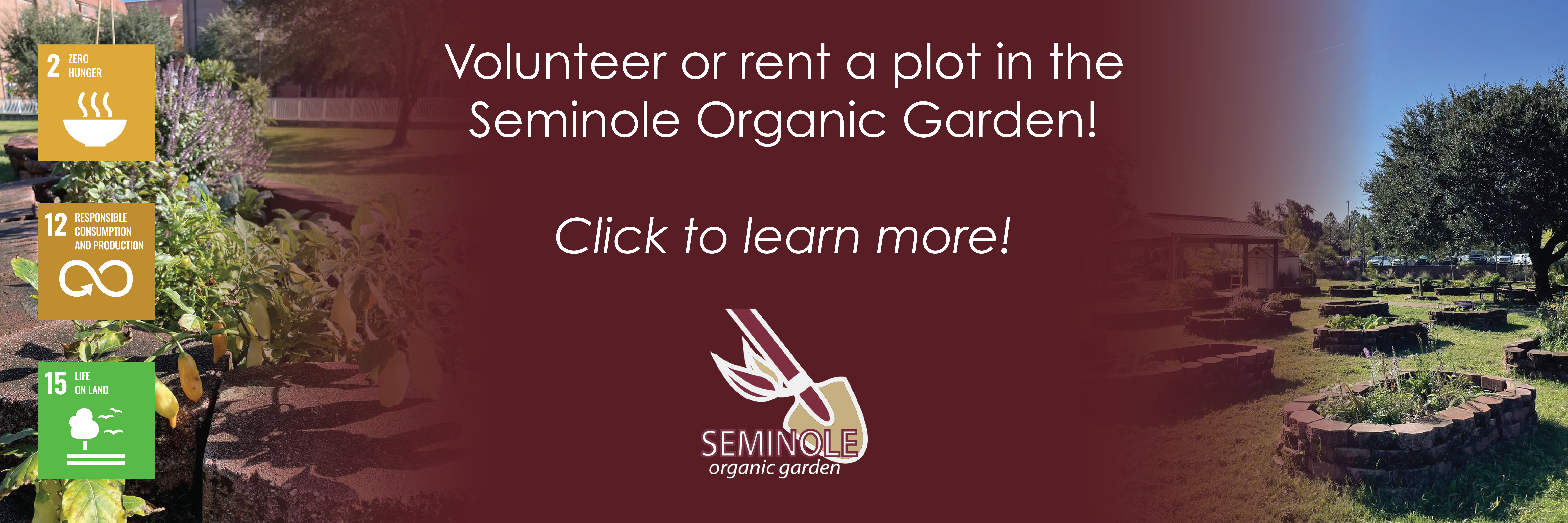 Seminole Organic Garden
