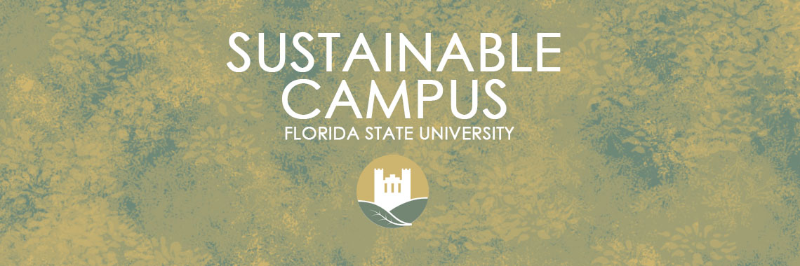 General Sustainable Campus Image
