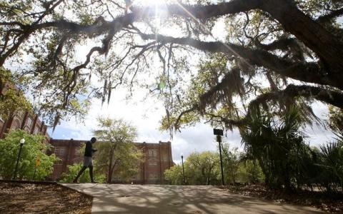 Florida State University campus on Thursday, March 31, 2016