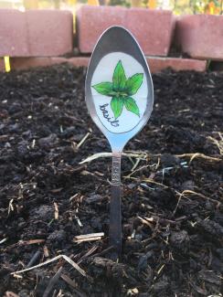 Basil spoon label in garden bed