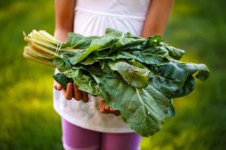 fresh picked greens