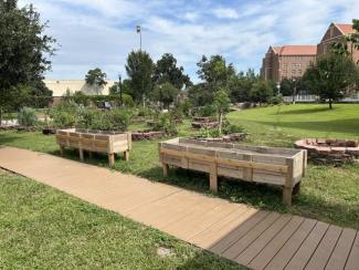 image of garden beds, raised wooden beds filled with dirt with grass and other garden beds and trees visible behind