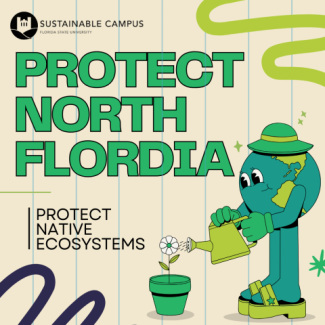 A graphic that says Protect North Florida